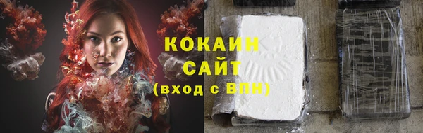 твердый Вяземский