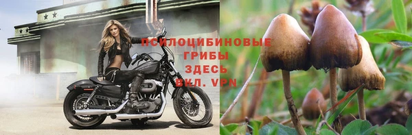 спайс Вязьма