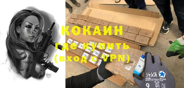 твердый Вяземский