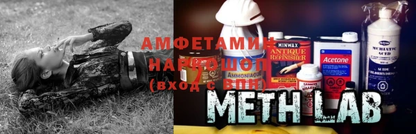 твердый Вяземский